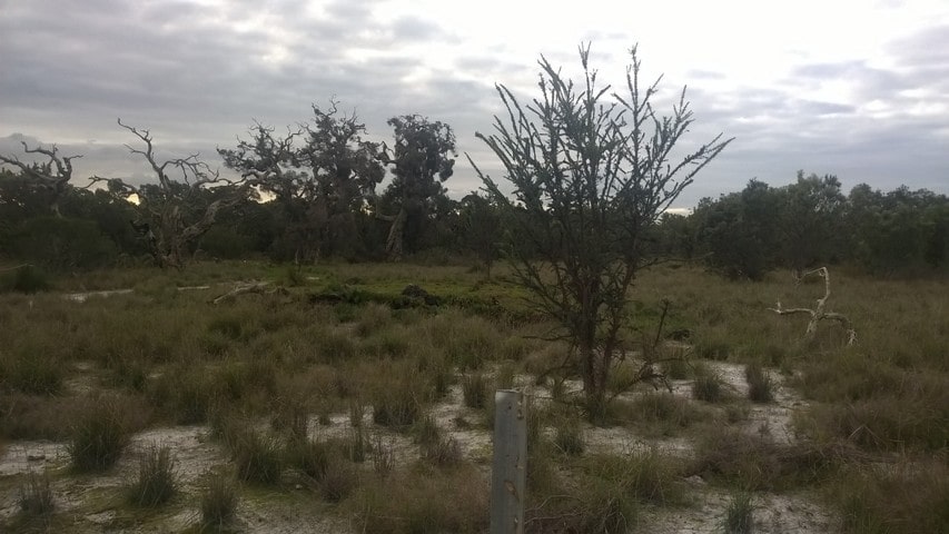 degraded bushland in Oakford WA