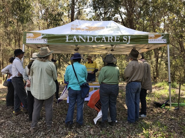several people from behind standing by a gazebo