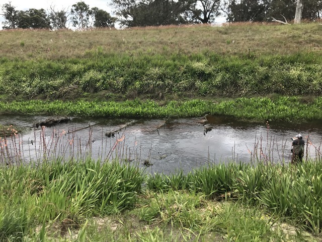 section of harvey river