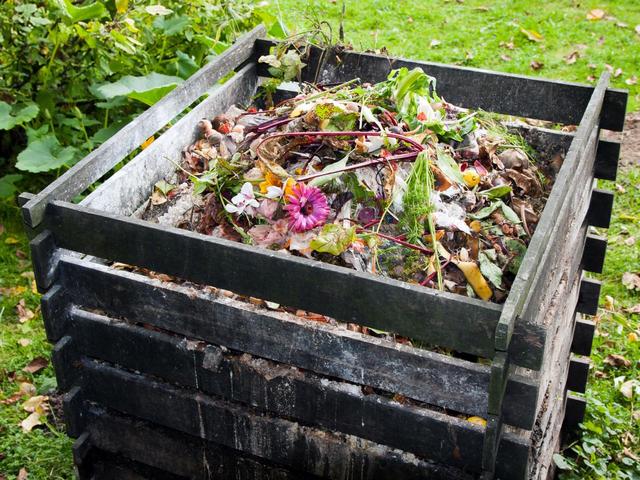 wooden frame holding compost
