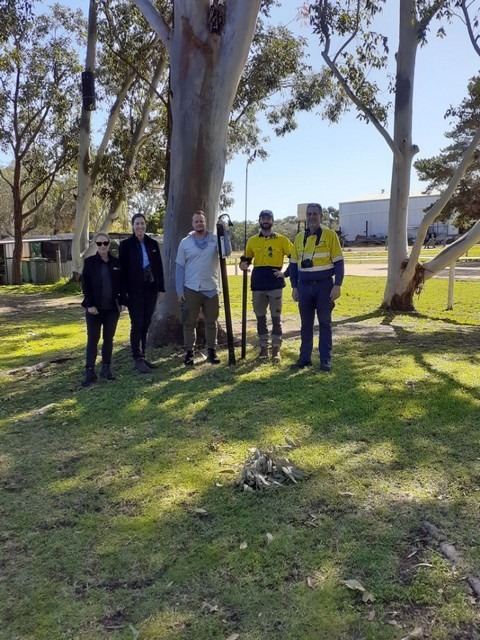 three men and two woman standing in front of a tall tree with an artificial nest box in the distance
