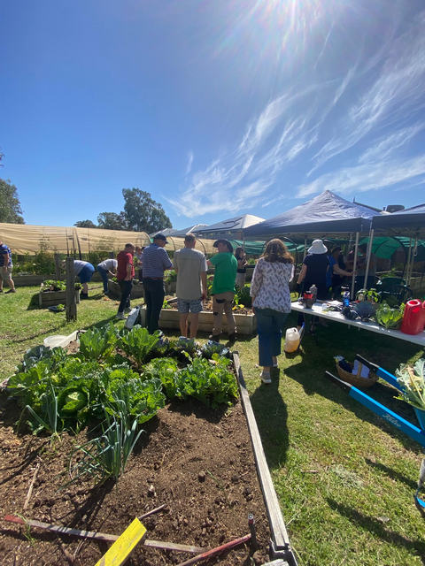 several adults at a community garden