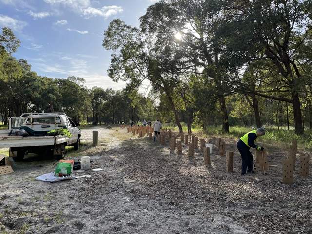 revegetation and adult volunteers in a paddock