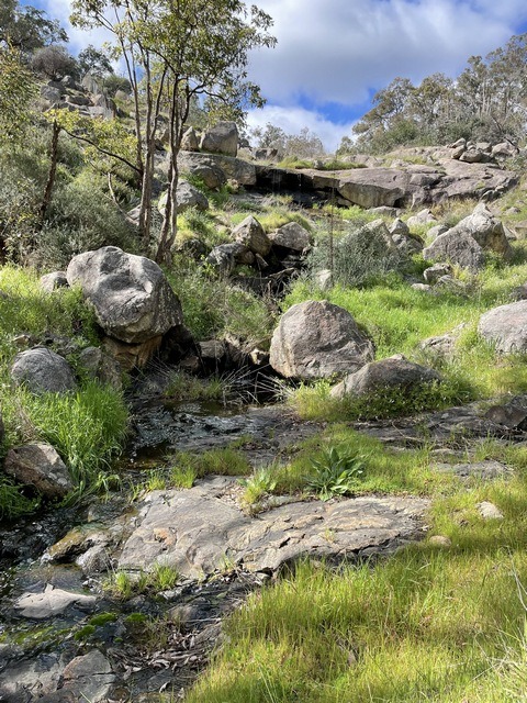 looking up hill in rocky bushland