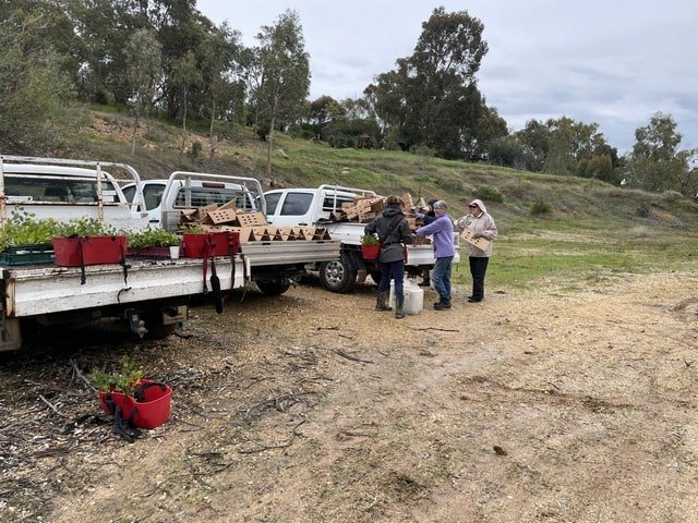 group of environmental attendees at planting site