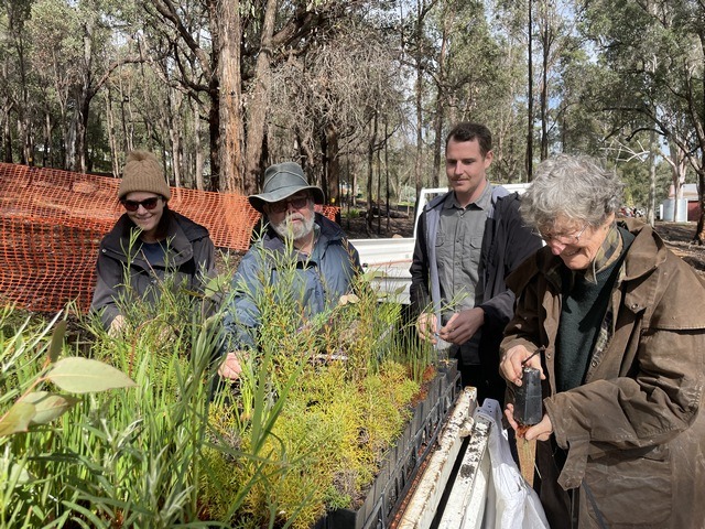 two men and two women preparing seedlings for ruok day planting